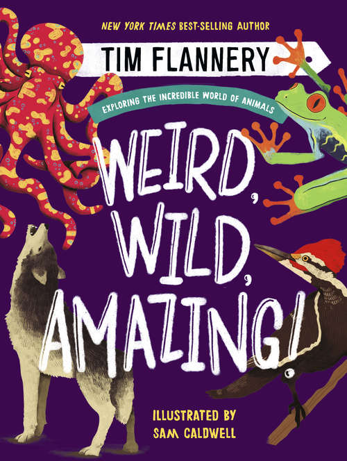 Book cover of Weird, Wild, Amazing!: Exploring The Incredible World Of Animals