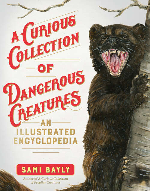 Book cover of A Curious Collection of Dangerous Creatures: An Illustrated Encyclopedia (Curious Collection of Creatures #0)