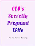 CEO's Secretly Pregnant Wife: Volume 1 (Volume 1 #1)