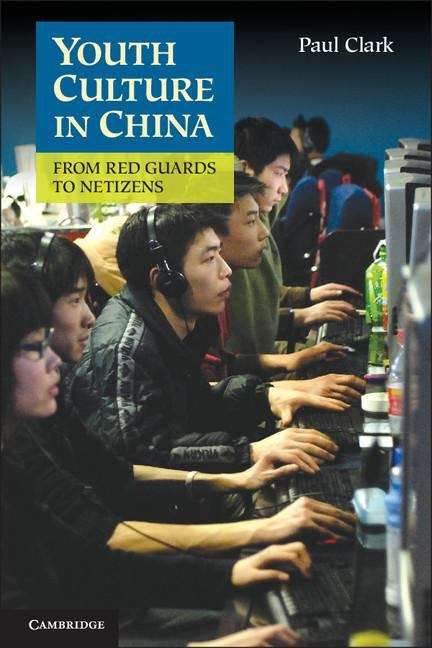 Book cover of Youth Culture in China
