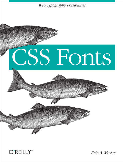 CSS Fonts: Web Typography Possibilities