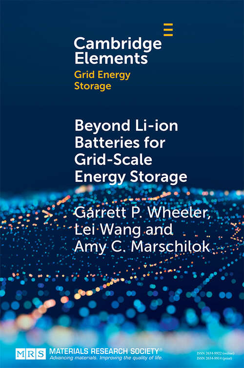 Beyond Li-ion Batteries for Grid-Scale Energy Storage (Elements in Grid Energy Storage)