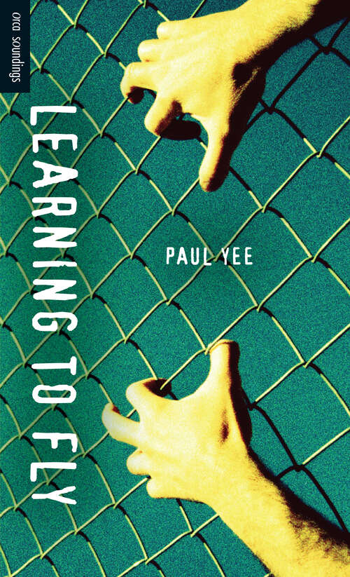Book cover of Learning to Fly