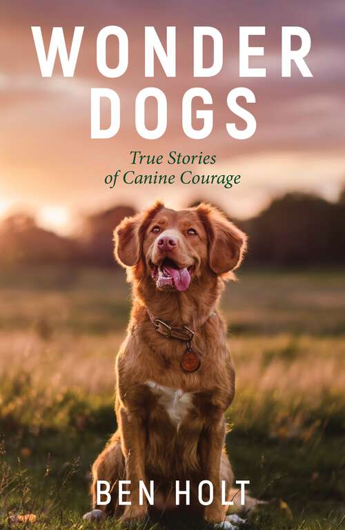 Book cover of Wonder Dogs: Inspirational True Stories of Real-Life Dog Heroes That Will Melt Your Heart