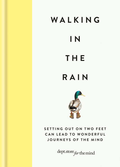 Book cover of Walking in the Rain