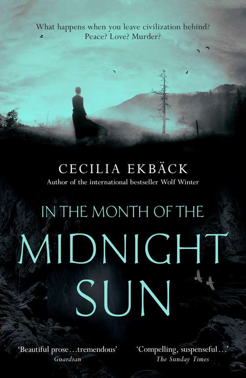 Book cover of In the Month of the Midnight Sun