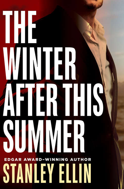 Book cover of The Winter After This Summer