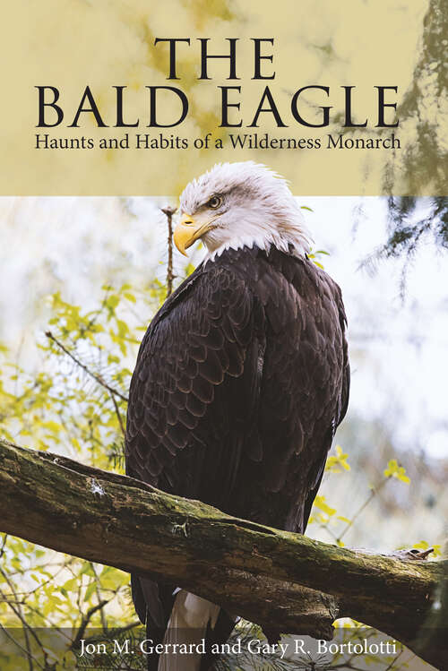 Book cover of The Bald Eagle