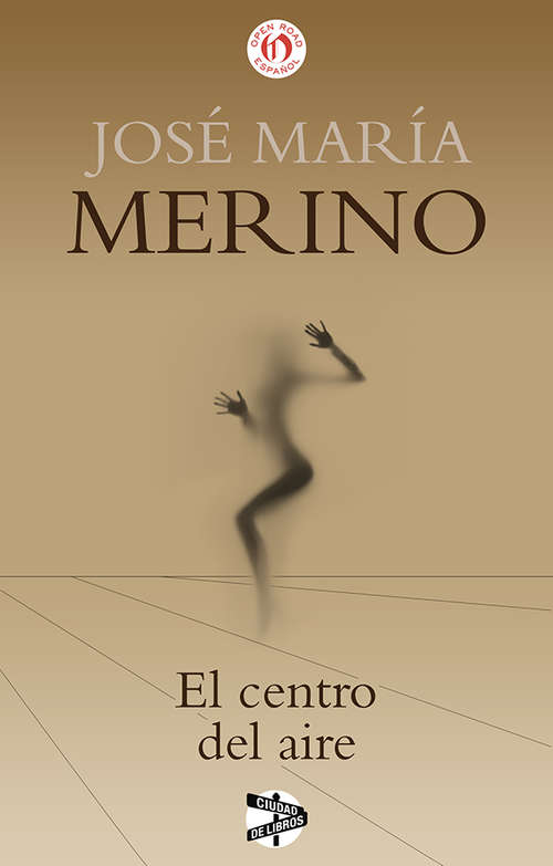Book cover of El centro del aire