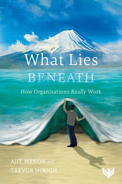 Book cover of What Lies Beneath: How Organisations Really Work