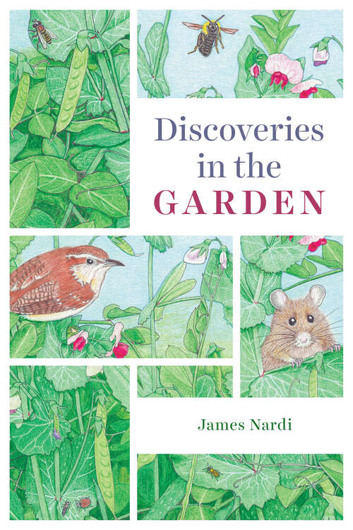 Book cover of Discoveries in the Garden