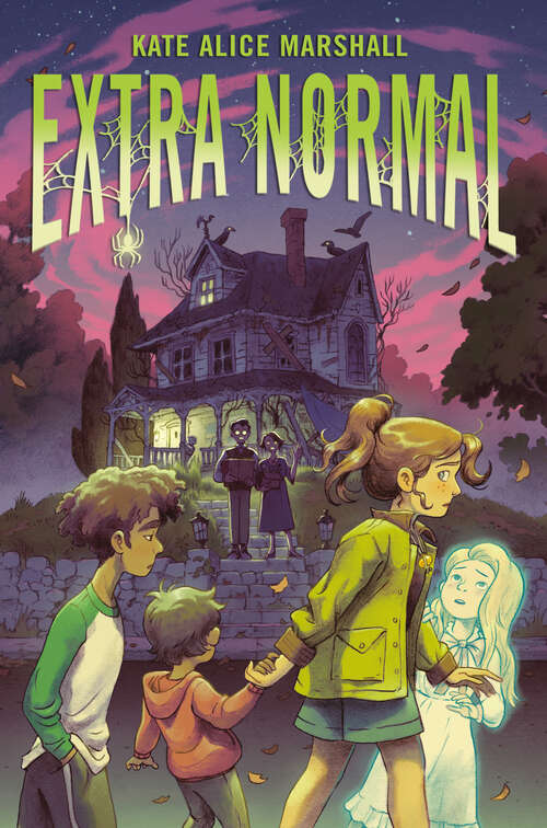 Book cover of Extra Normal