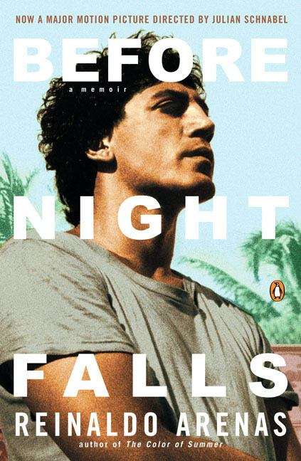 Book cover of Before Night Falls