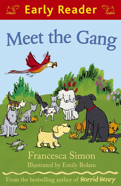 Book cover of Meet the Gang (Early Reader)