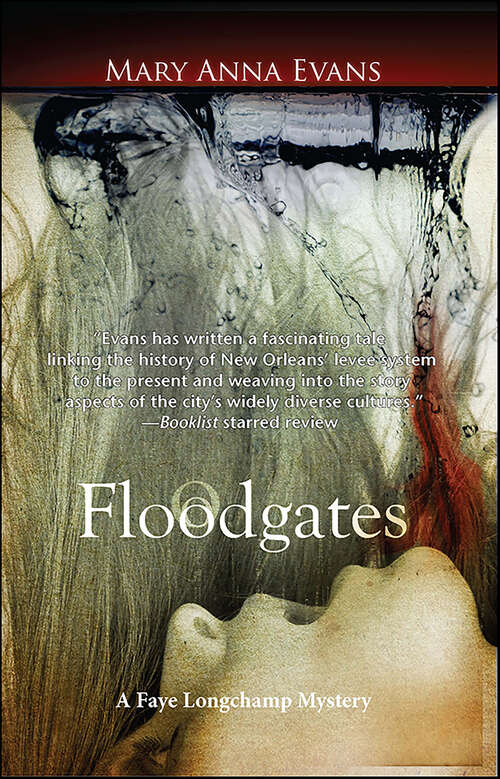 Book cover of Floodgates (Faye Longchamp Archaeological Mysteries #5)