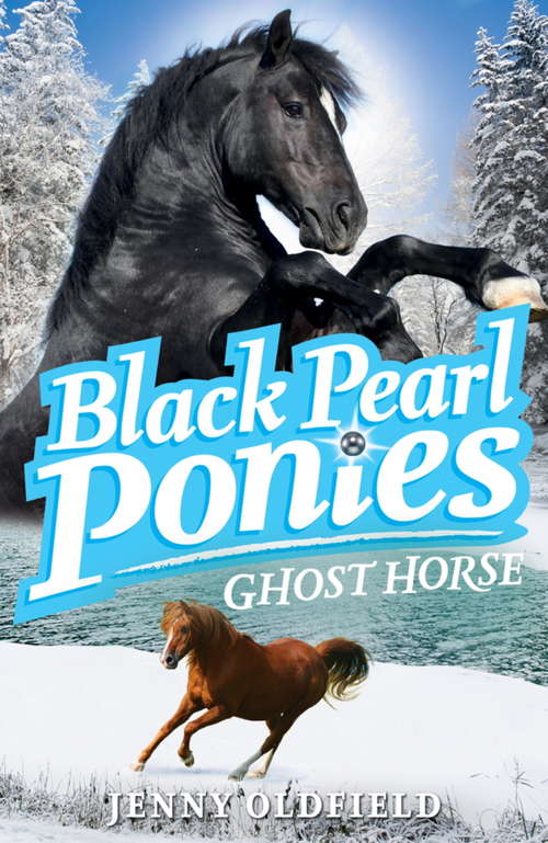 Book cover of Black Pearl Ponies: Ghost Horse