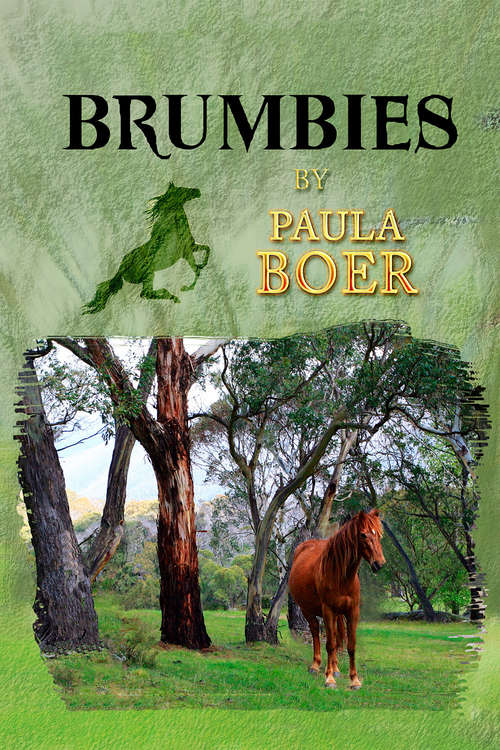 Book cover of Brumbies (Brumbies #1)