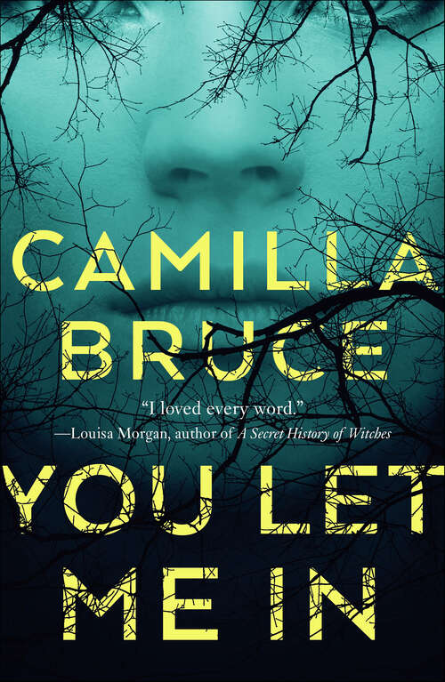 Book cover of You Let Me In
