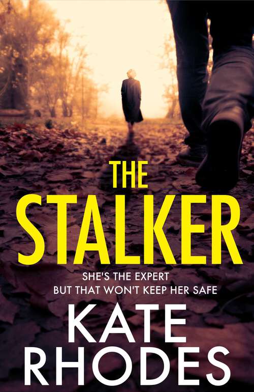 Book cover of The Stalker: A nail-bitingly tense thriller that will have you looking over your shoulder until the final shocking twist
