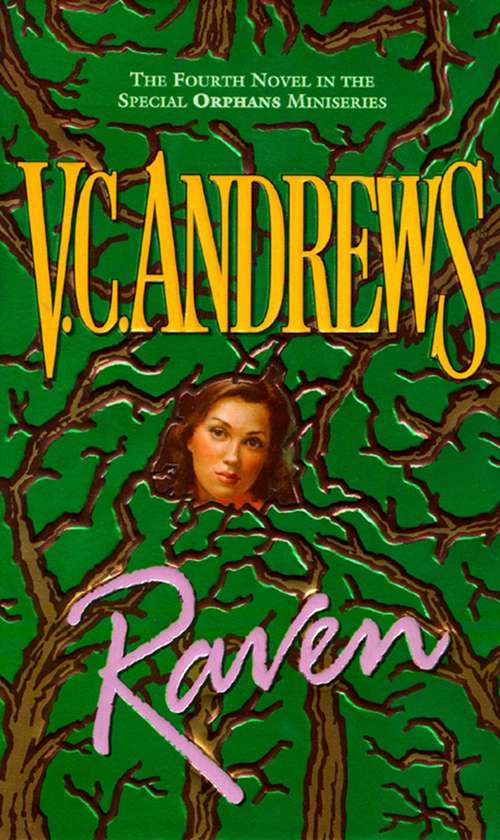 Book cover of Raven (Orphans #4)