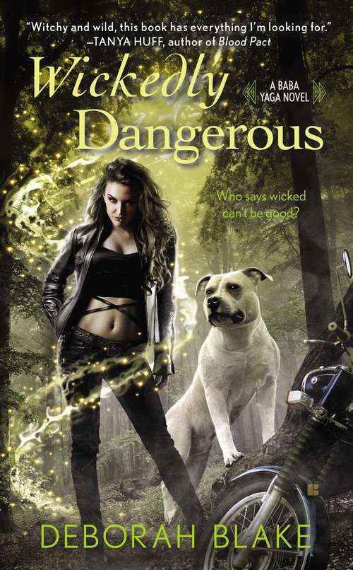 Book cover of Wickedly Dangerous