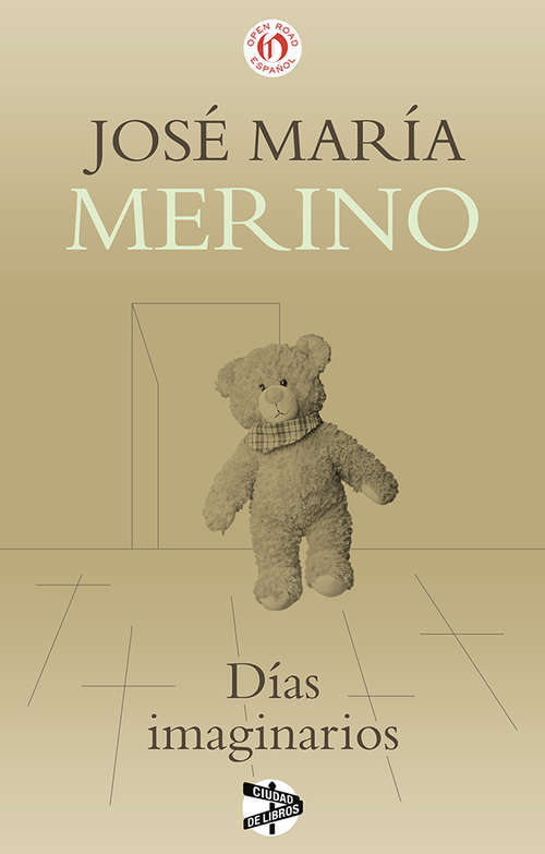 Book cover of Días imaginarios