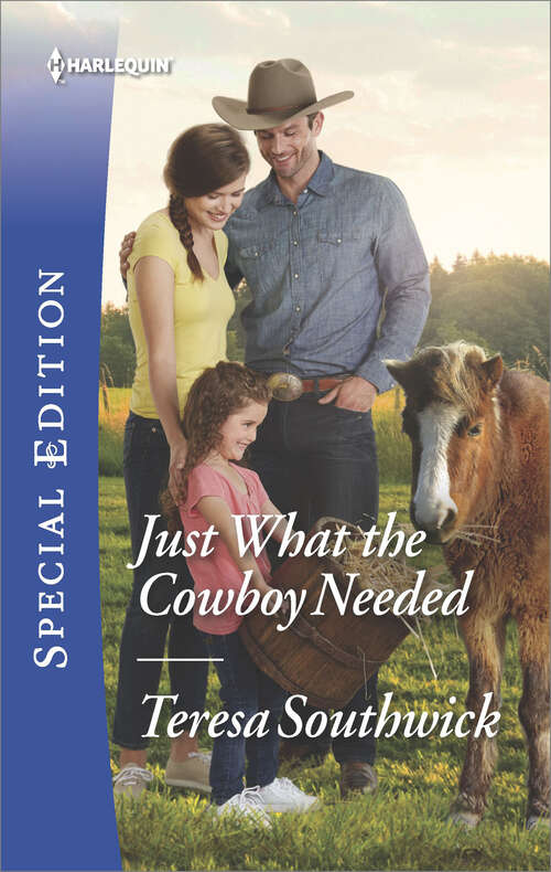 Book cover of Just What the Cowboy Needed: Her Soldier Of Fortune Just What The Cowboy Needed The Rancher And The City Girl (The Bachelors of Blackwater Lake #12)