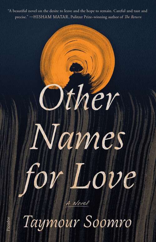 Book cover of Other Names for Love: A Novel