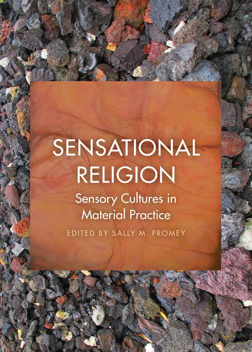 Book cover of Sensational Religion