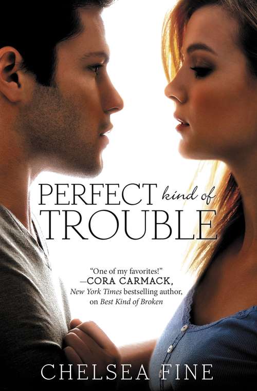 Book cover of Perfect Kind of Trouble
