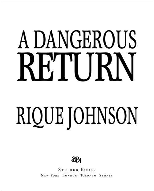 Book cover of A Dangerous Return