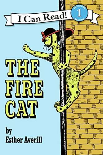 Book cover of The Fire Cat