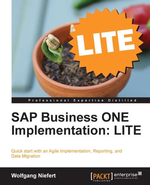 Book cover of SAP Business ONE Implementation: LITE