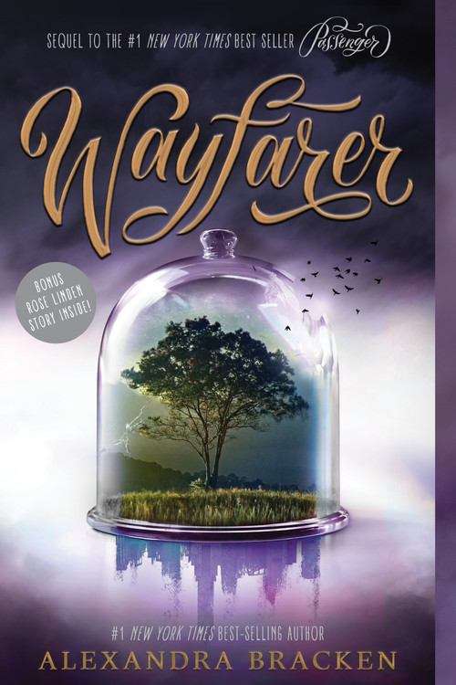 Book cover of Wayfarer (Passenger Series)