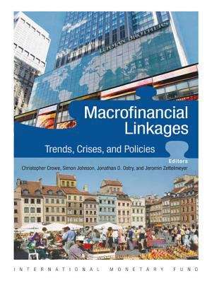 Macrofinancial Linkages
