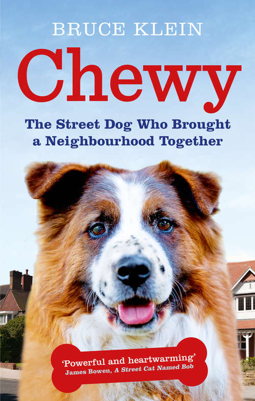 Book cover of Chewy: The Street Dog who Brought a Neighbourhood Together