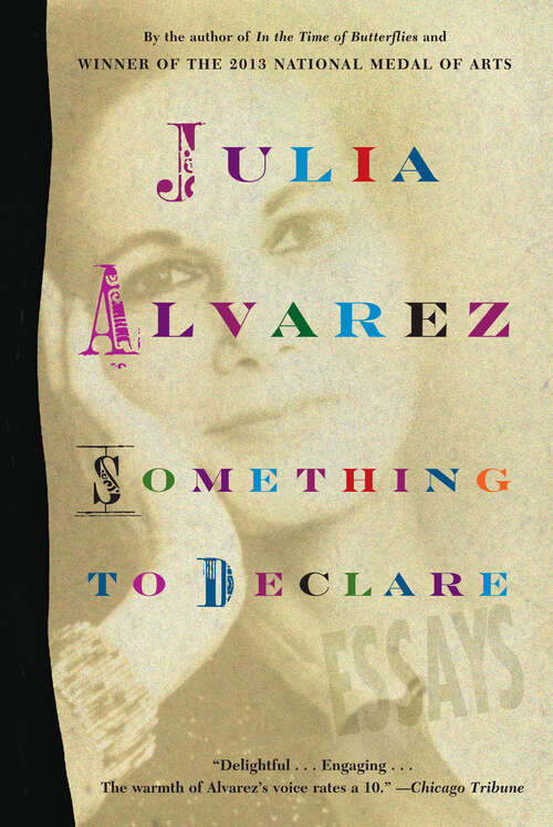 Book cover of Something to Declare: Essays