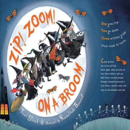 Book cover of Zip! Zoom! On a Broom