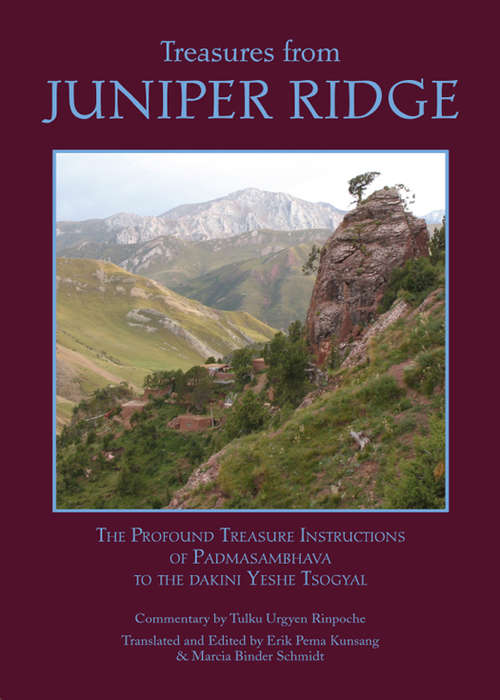 Book cover of Treasures from Juniper Ridge