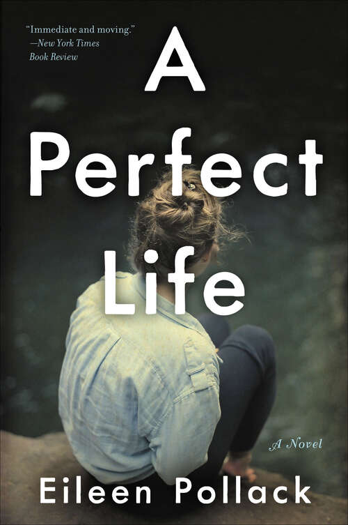 Book cover of A Perfect Life: A Novel