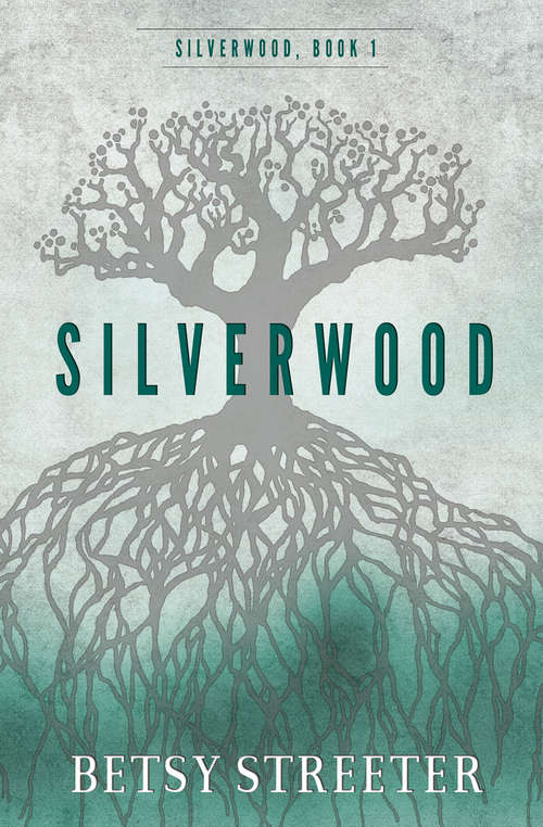Book cover of Silverwood