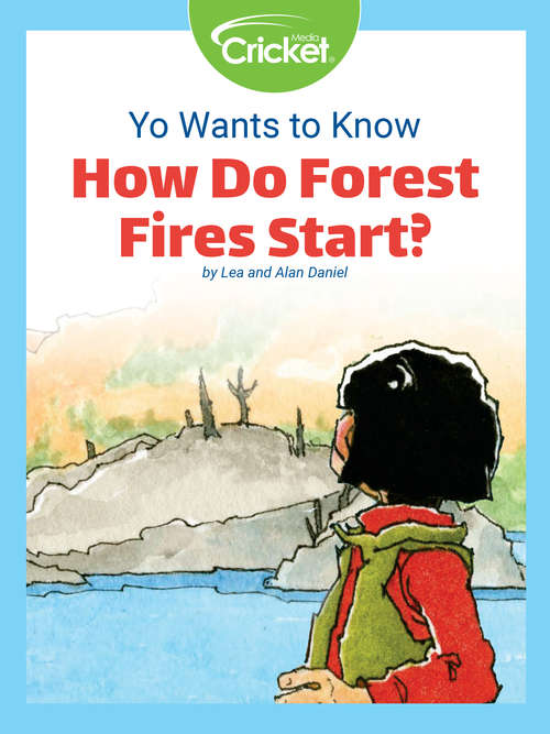 Yo Wants to Know: How Do Forest Fires Start?