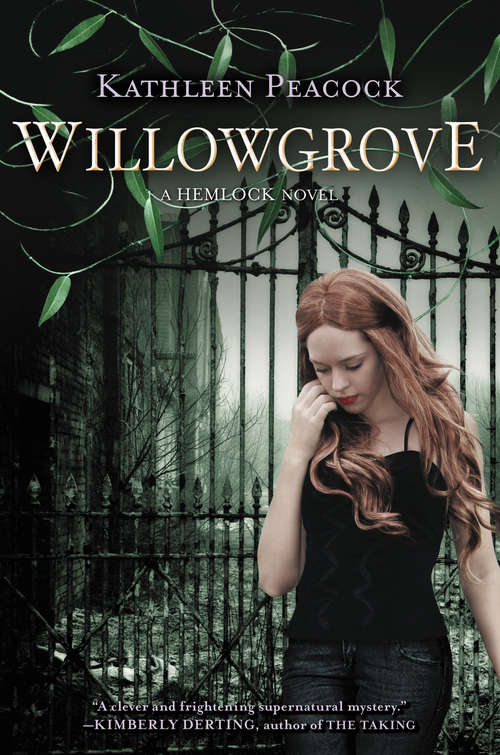 Book cover of Willowgrove