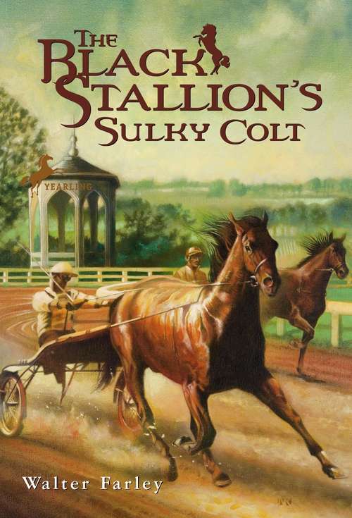 Book cover of The Black Stallion's Sulky Colt