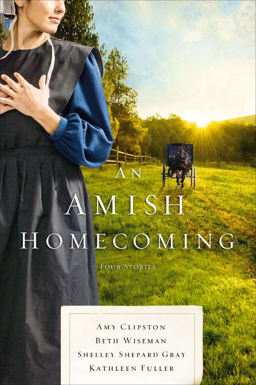 Cover image of An Amish Homecoming