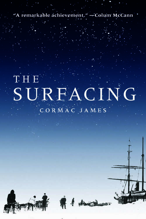 Book cover of The Surfacing
