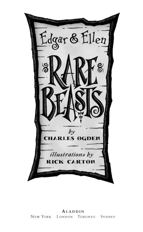 Book cover of Rare Beasts