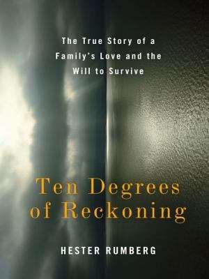 Book cover of Ten Degrees of Reckoning