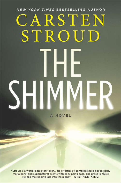 Book cover of The Shimmer: A Novel