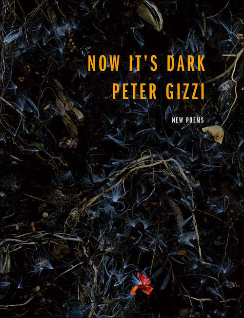 Book cover of Now It's Dark: New Poems (Wesleyan Poetry Series)